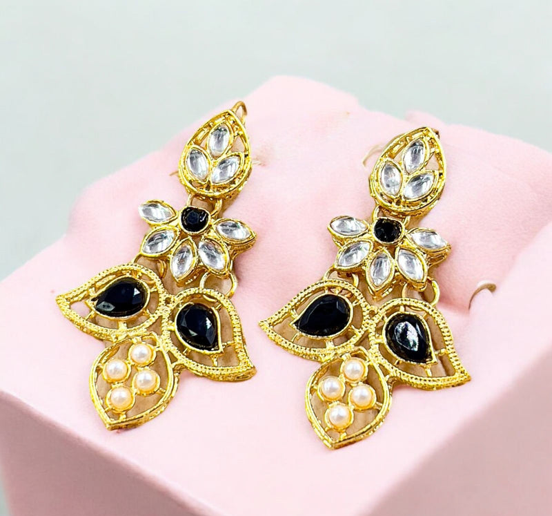 Double Eye Drop Earrings